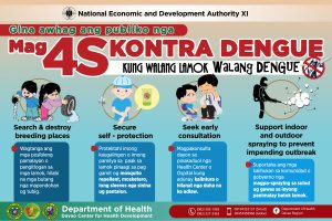 RDC XI Endorses the DOH Anti-Dengue Advocacy Campaign | RDC XI ...